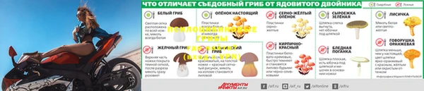 молекула духа Белоозёрский