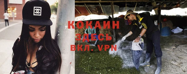 твердый Белокуриха
