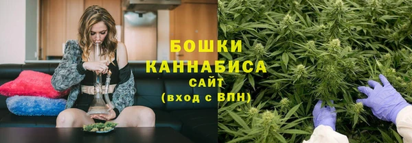 твердый Белокуриха
