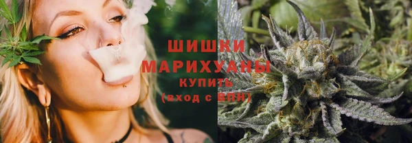молекула духа Белоозёрский