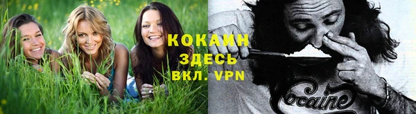 молекула духа Белоозёрский