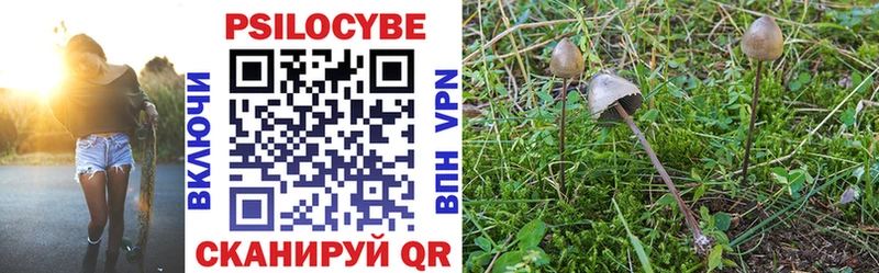 Псилоцибиновые грибы Magic Shrooms  omg вход  Великий Новгород 
