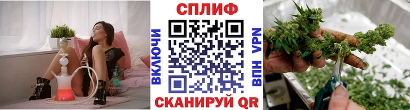 закладки  Великий Новгород  Канабис тримм 
